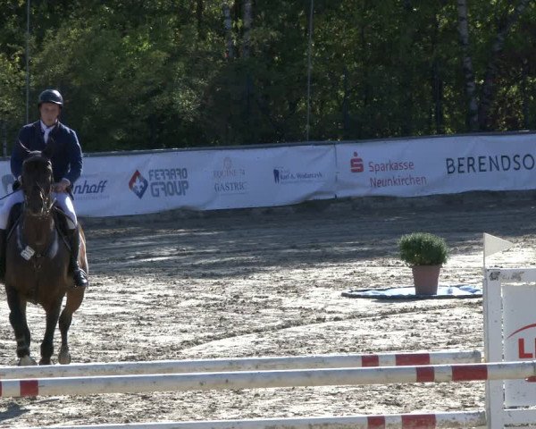 Reitturnier Neunkirchen-City 2019