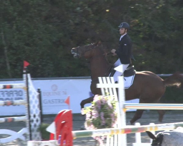 Reitturnier Neunkirchen-City 2019