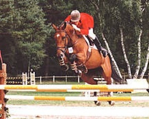 broodmare Brullemail (Selle Français, 1989, from Alme) broodmare Brullemail (Selle Français, 1989, from Alme)