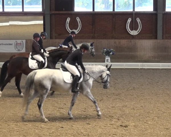 Reitturnier Köln-Leverkusen 2019