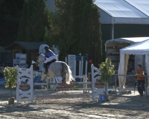 Reitturnier Neunkirchen-City 2019