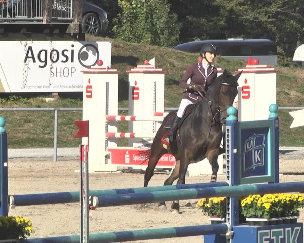Reitturnier Pforzheim 2019
