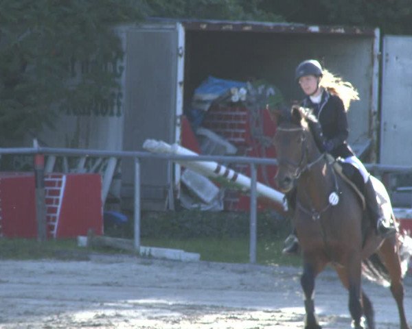 Reitturnier Neunkirchen-City 2019