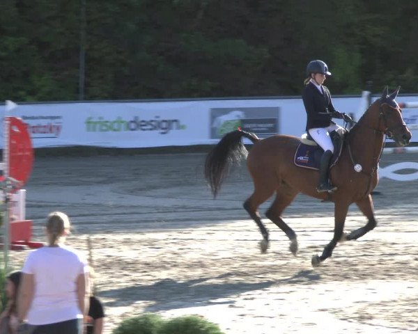 Reitturnier Neunkirchen-City 2019