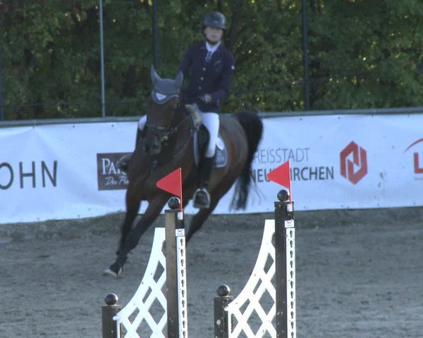 Reitturnier Neunkirchen-City 2019