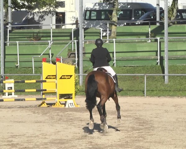 Reitturnier Pforzheim 2019