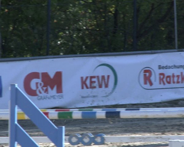 Reitturnier Neunkirchen-City 2019