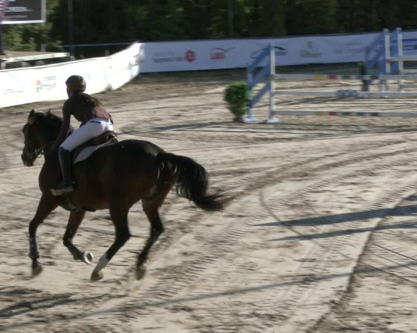 Reitturnier Neunkirchen-City 2019