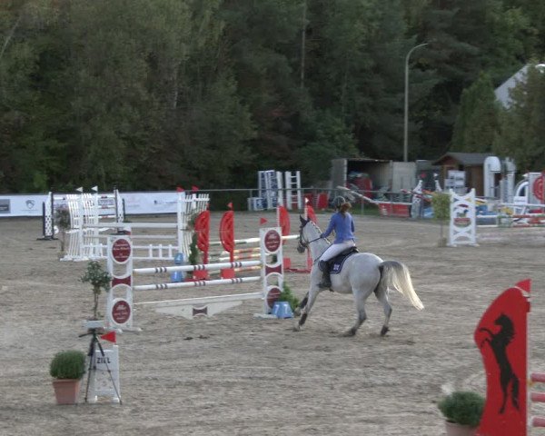 Reitturnier Neunkirchen-City 2019