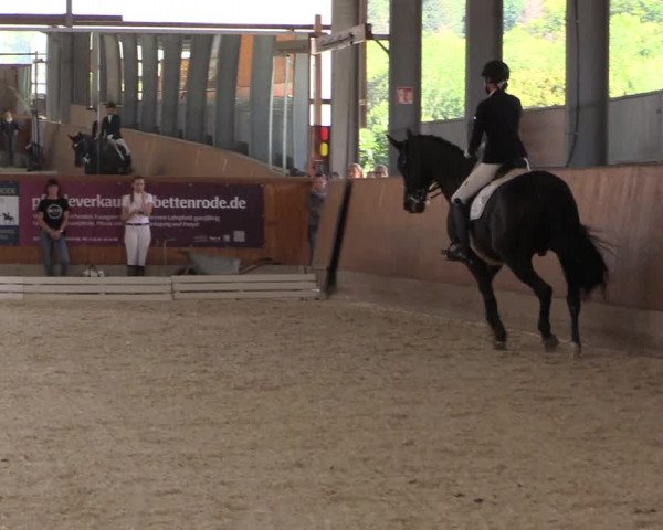 Reitturnier Hof Bettenrode 2019