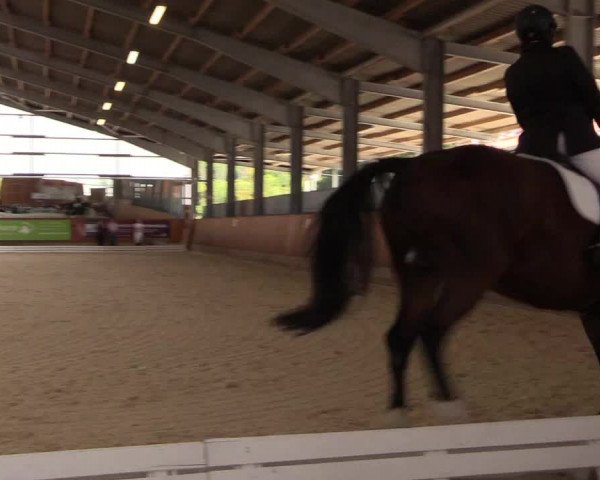 Reitturnier Hof Bettenrode 2019