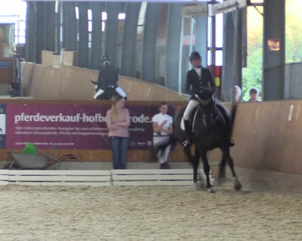 Reitturnier Hof Bettenrode 2019