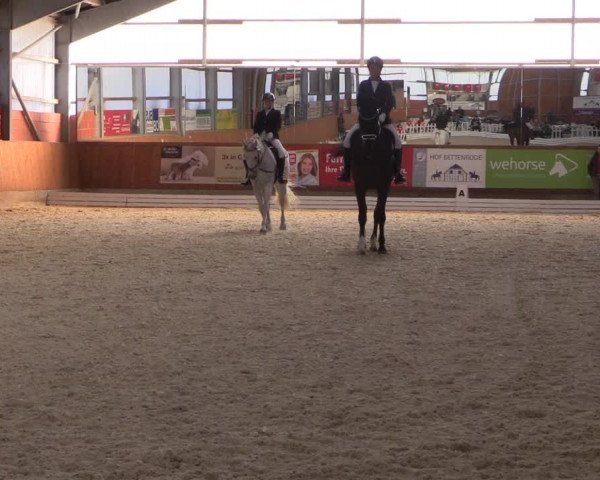 Reitturnier Hof Bettenrode 2019