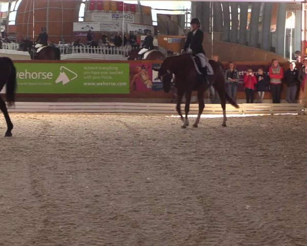 Reitturnier Hof Bettenrode 2019