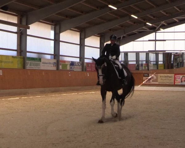 Reitturnier Hof Bettenrode 2019