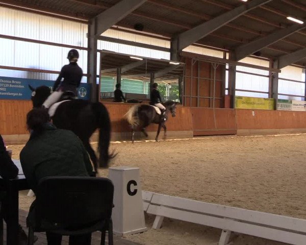 Reitturnier Hof Bettenrode 2019