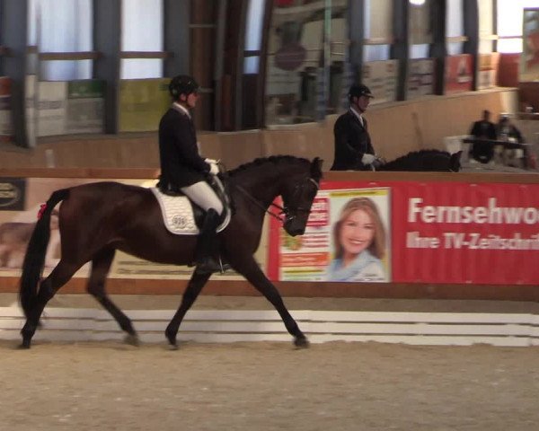 Reitturnier Hof Bettenrode 2019