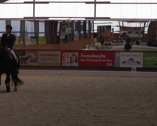 Reitturnier Hof Bettenrode 2019
