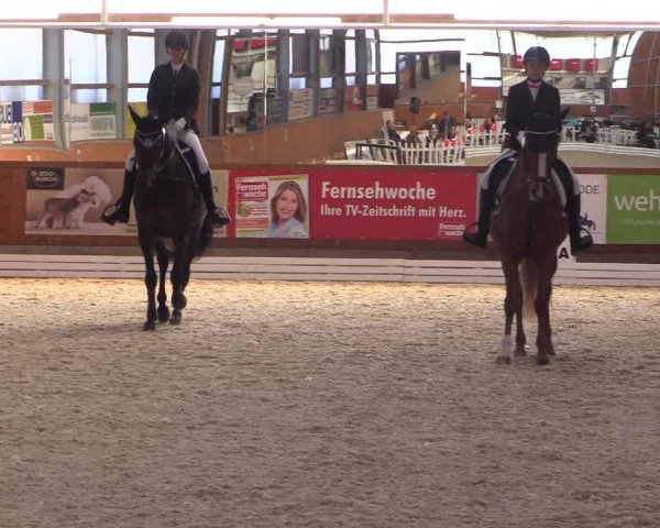 Reitturnier Hof Bettenrode 2019