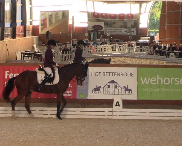 Reitturnier Hof Bettenrode 2019