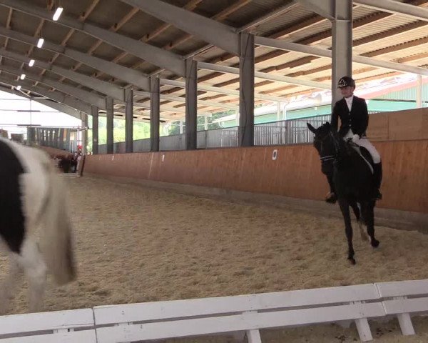 Reitturnier Hof Bettenrode 2019