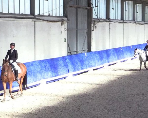 Reitturnier Pforzheim 2019
