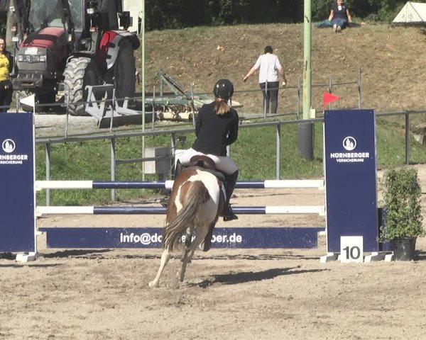 Reitturnier Pforzheim 2019