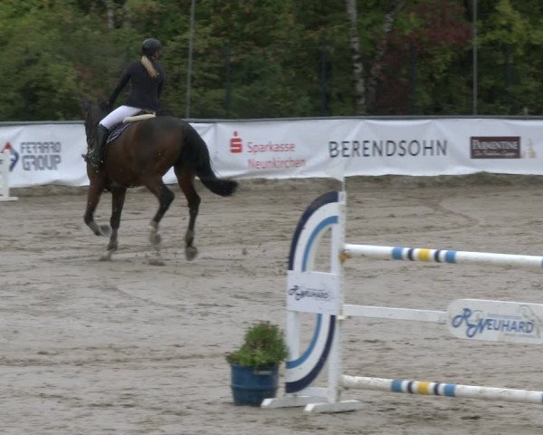 Reitturnier Neunkirchen-City 2019