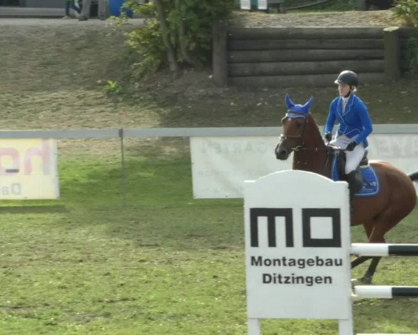 Reitturnier Nußdorf 2019