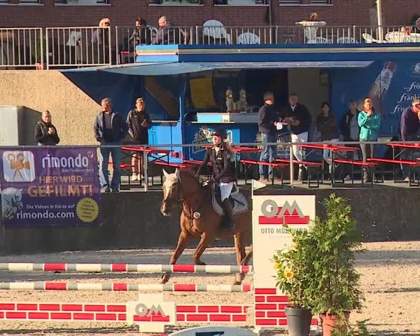 Reitturnier Küps/Ofr. 2019