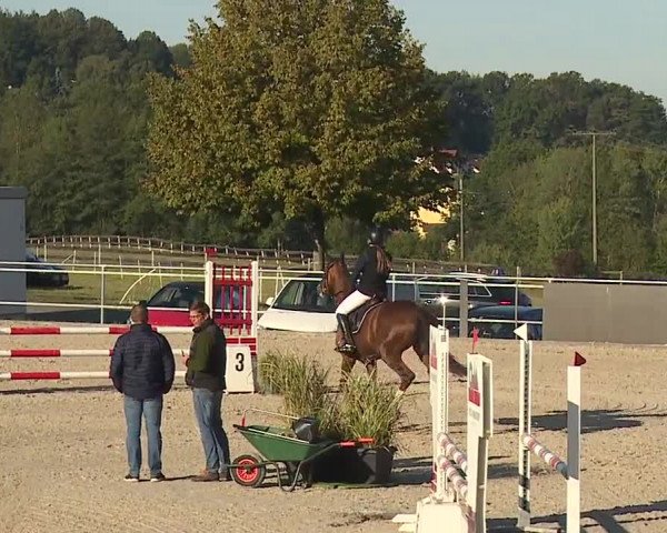 Reitturnier Küps/Ofr. 2019