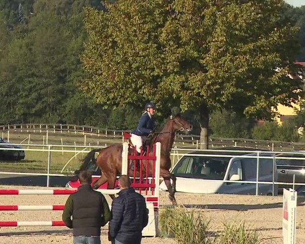 Reitturnier Küps/Ofr. 2019