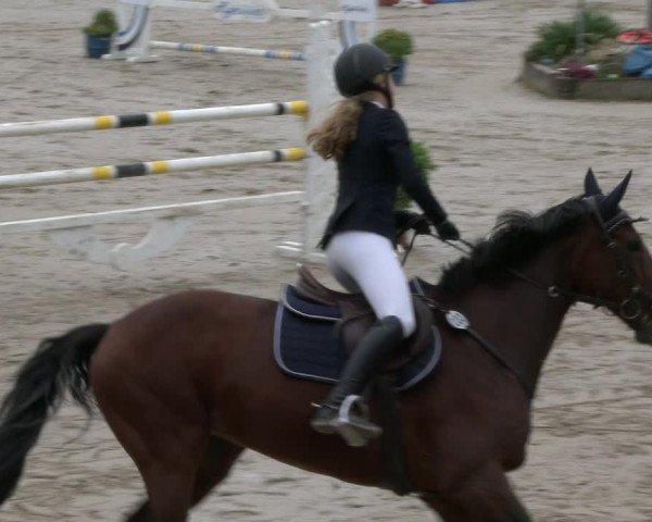 Reitturnier Neunkirchen-City 2019