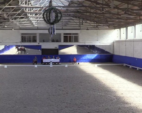 Reitturnier Pforzheim 2019