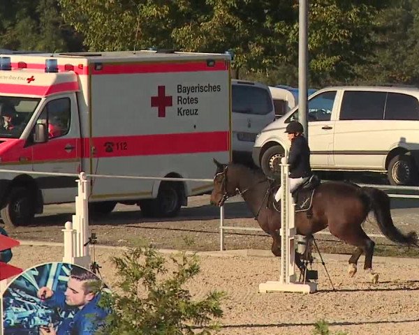 Reitturnier Küps/Ofr. 2019