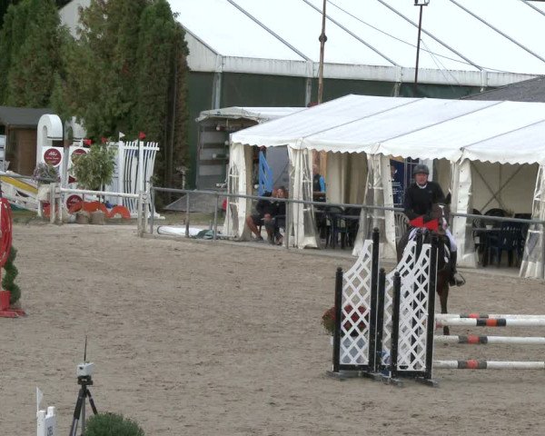 Reitturnier Neunkirchen-City 2019