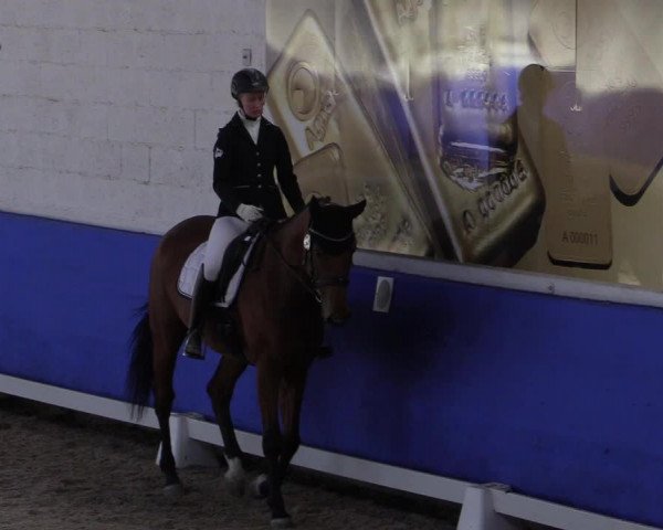 Reitturnier Pforzheim 2019