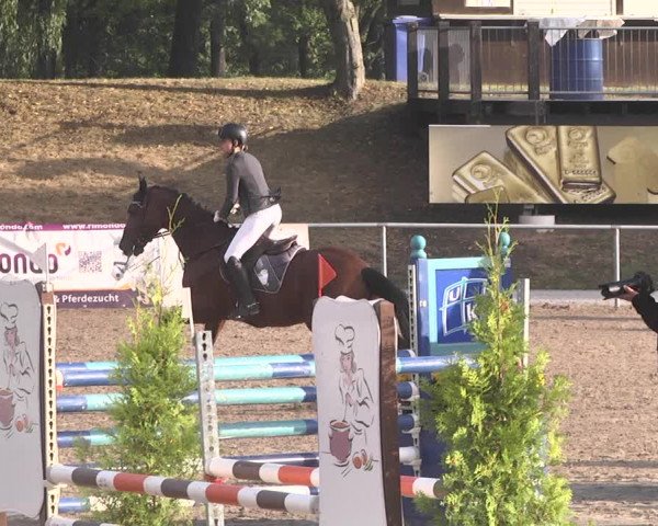 Reitturnier Pforzheim 2019