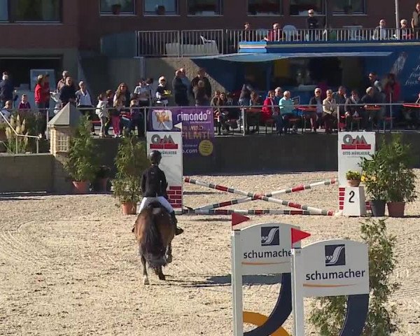 Reitturnier Küps/Ofr. 2019