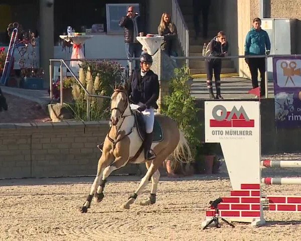 Reitturnier Küps/Ofr. 2019