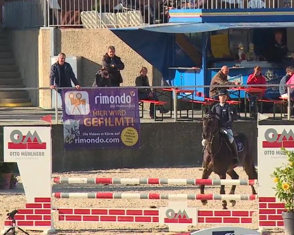 Reitturnier Küps/Ofr. 2019