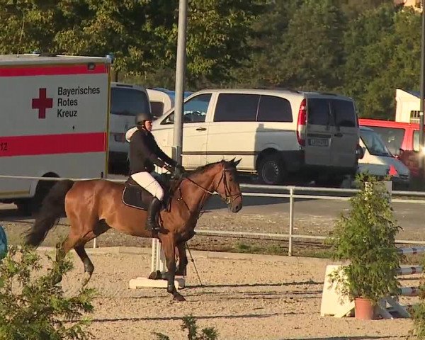 Reitturnier Küps/Ofr. 2019