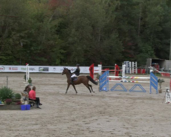 Reitturnier Neunkirchen-City 2019