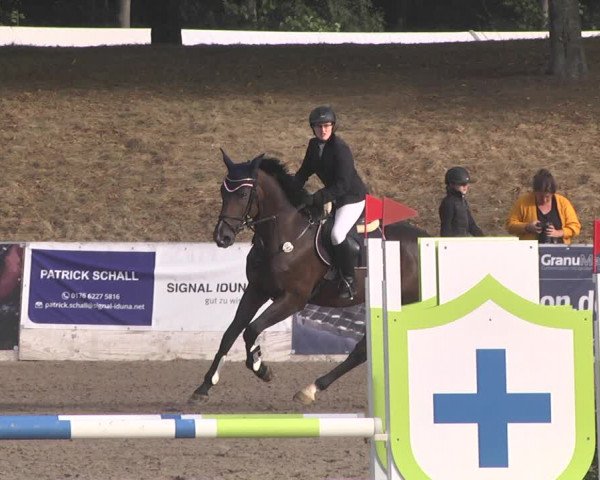 Reitturnier Pforzheim 2019