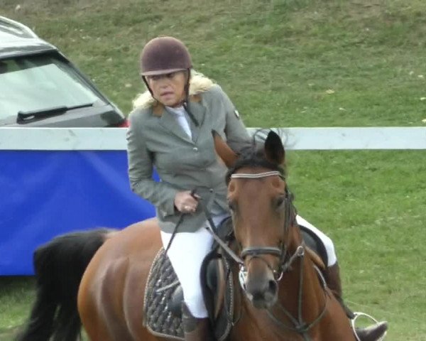 Reitturnier Nußdorf 2019