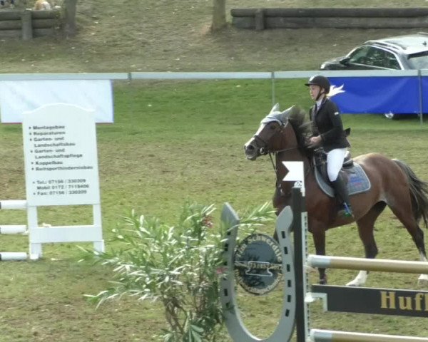 Reitturnier Nußdorf 2019