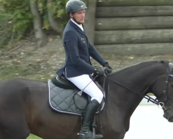 Reitturnier Nußdorf 2019