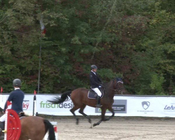 Reitturnier Neunkirchen-City 2019