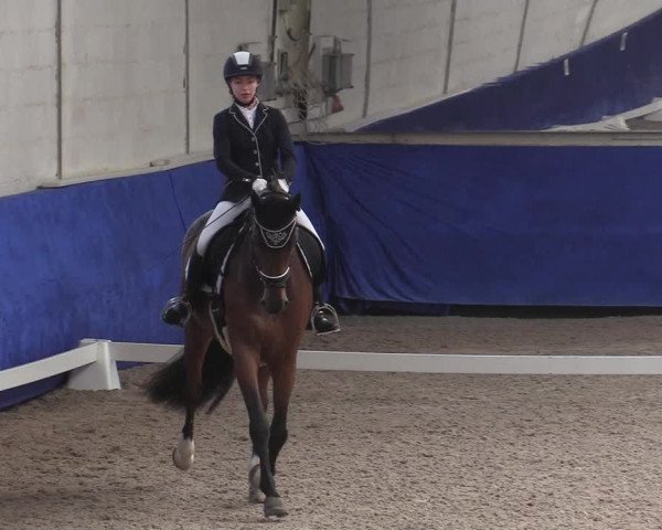 Reitturnier Pforzheim 2019