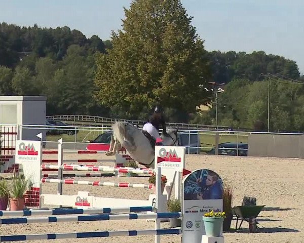 Reitturnier Küps/Ofr. 2019